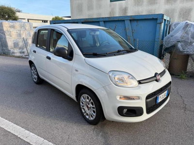 Fiat Panda 1.2 Easy usata