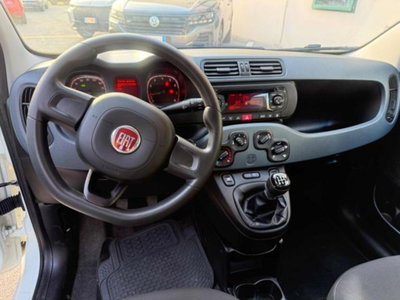 Fiat Panda 1.2 Easy (12)