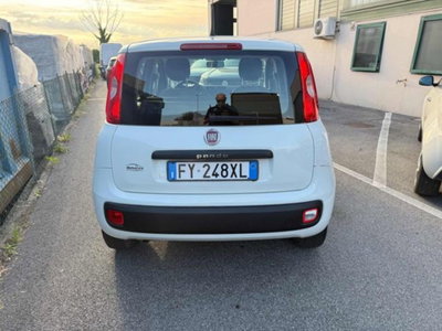 Fiat Panda 1.2 Easy (6)