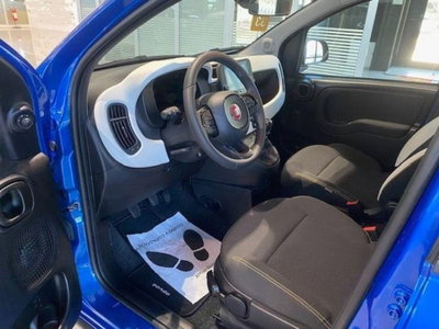Fiat Panda Cross 1.0 firefly hybrid Cross s&s 70cv 5p.ti (12)