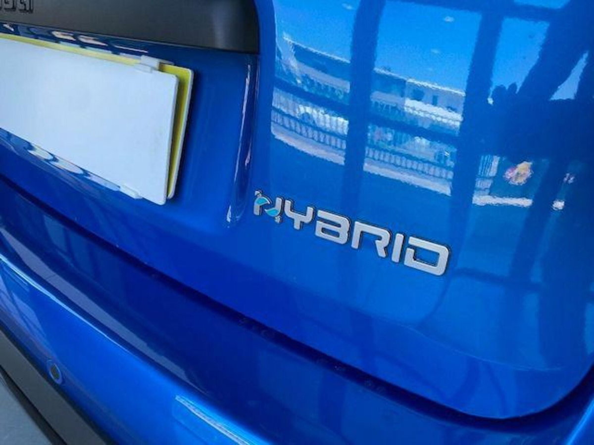 Fiat Panda Cross 1.0 firefly hybrid Cross s&s 70cv 5p.ti (6)