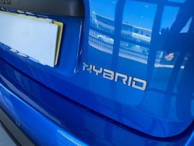Fiat Panda Cross 1.0 firefly hybrid Cross s&s 70cv 5p.ti (6)