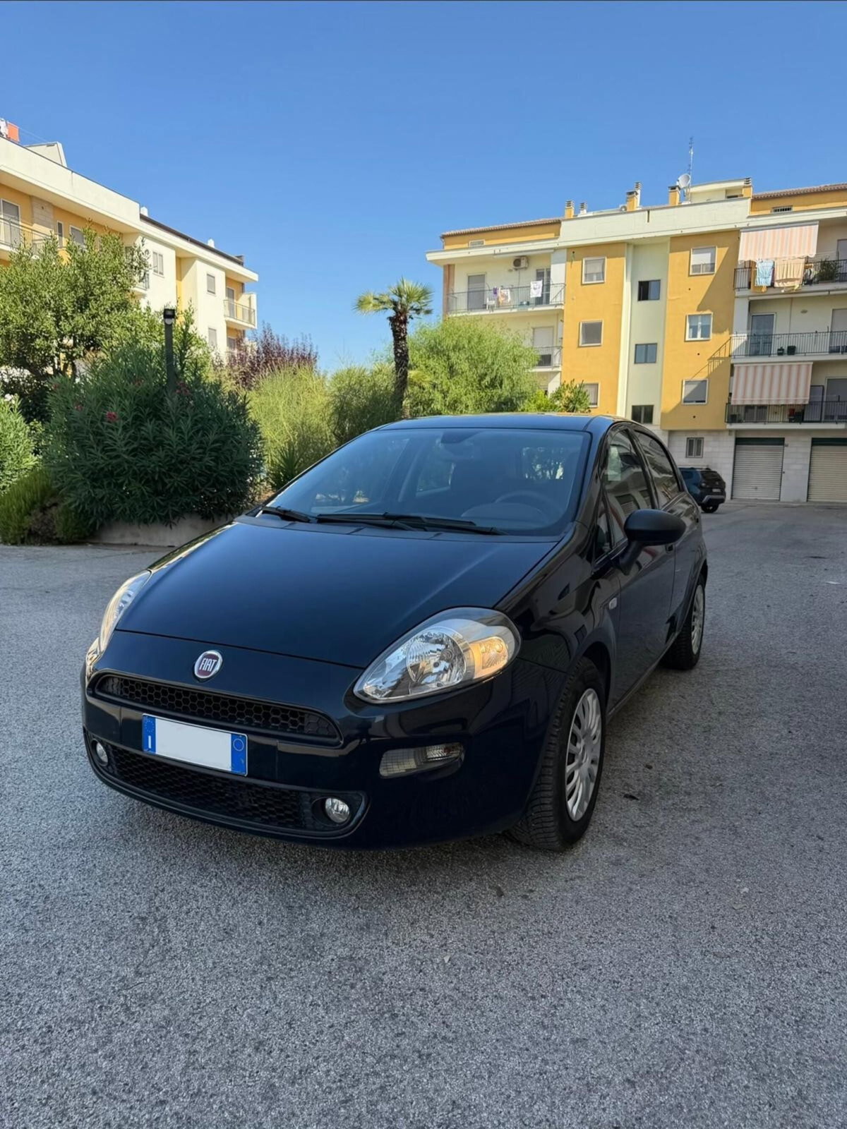 Fiat Punto 1.3 MJT II S&S 95 CV 5 porte Street