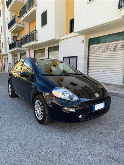 Fiat Punto 1.3 MJT II S&S 95 CV 5 porte Street (16)