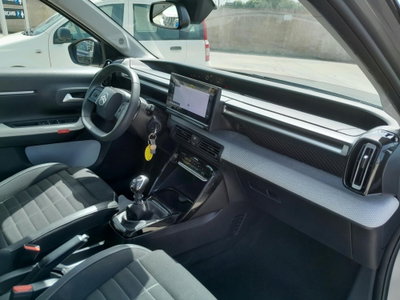 Citroen C3 1.2 turbo Max 100cv s&s (15)