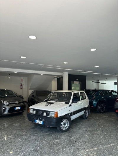 Fiat Panda 1100 i.e. cat 4x4 Climbing usata