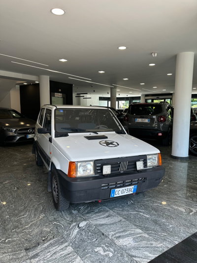 Fiat Panda 1100 i.e. cat 4x4 Climbing (3)