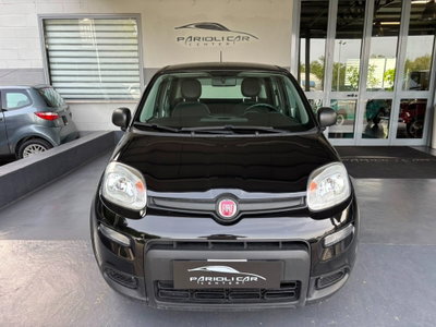 Fiat Panda 1.0 FireFly S&S Hybrid usata