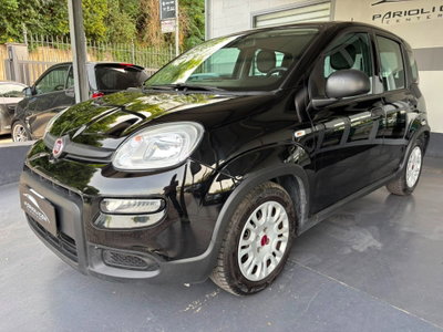 Fiat Panda 1.0 FireFly S&S Hybrid (2)