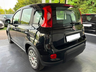 Fiat Panda 1.0 FireFly S&S Hybrid (4)
