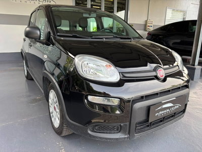 Fiat Panda 1.0 FireFly S&S Hybrid (8)