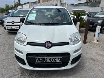 Fiat Panda 1.2 Easy usata
