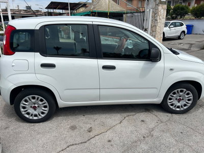 Fiat Panda 1.2 Easy (6)