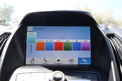 Ford Kuga 2.0 TDCI 150 CV S&S 4WD Powershift Vignale (12)