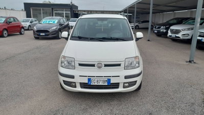 Fiat Panda 1.2 Dynamic usata