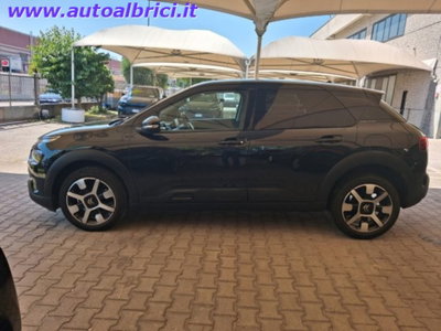 Citroen C4 Cactus PureTech 110 S&S Shine (5)