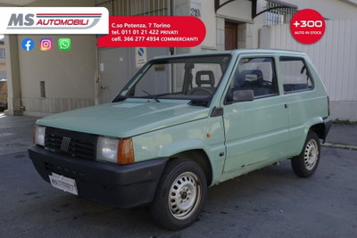 Fiat Panda 900 i.e. cat Young (11)