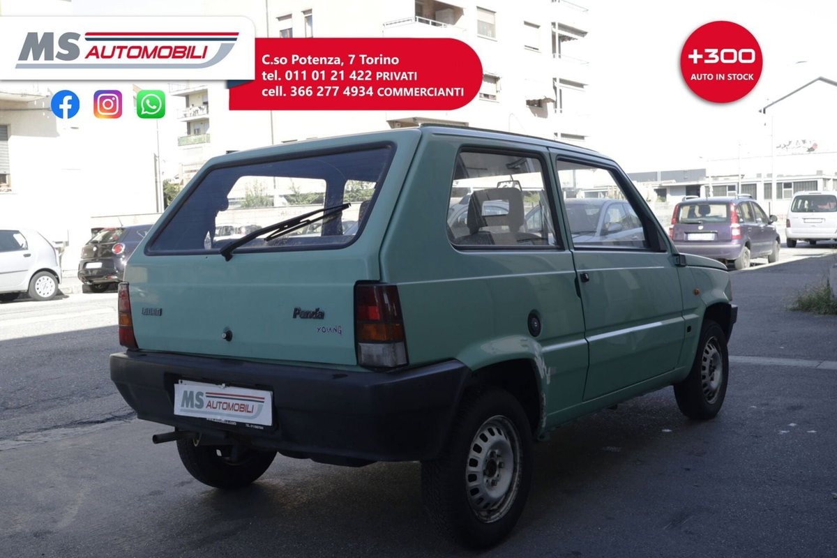 Fiat Panda 900 i.e. cat Young (13)