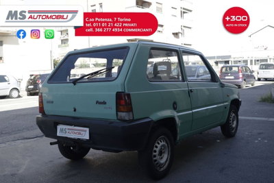 Fiat Panda 900 i.e. cat Young (13)