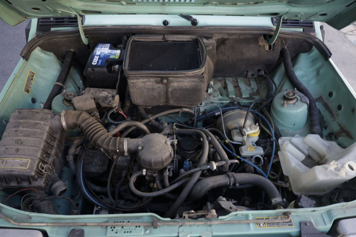 Fiat Panda 900 i.e. cat Young (19)