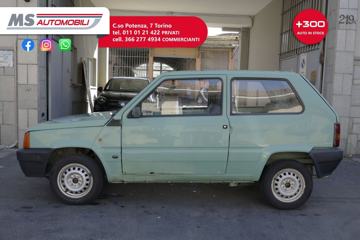Fiat Panda 900 i.e. cat Young (4)