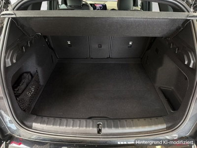 BMW X1 xdrive 25e MSport auto (15)