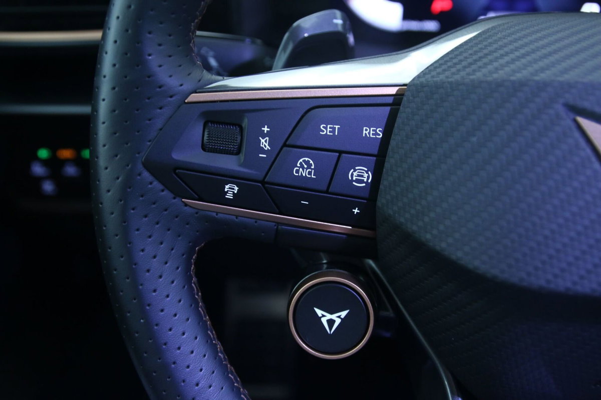 Cupra Leon Leon 2.0 tdi 150cv dsg (18)