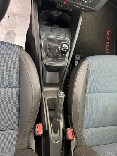 SEAT Ibiza 1.4 TDI 90 CV CR 5p. Connect Grey (12)