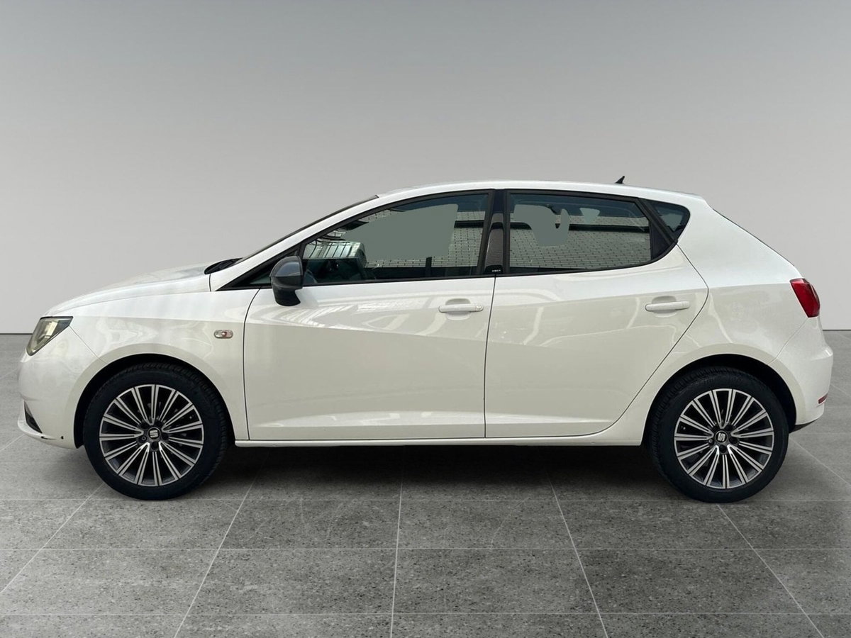 SEAT Ibiza 1.4 TDI 90 CV CR 5p. Connect Grey (6)