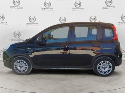 Fiat Panda Cross Cross 1.0 FireFly S&S Hybrid (10)