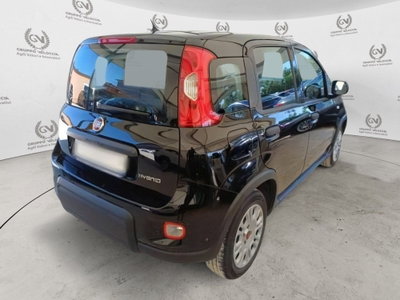 Fiat Panda Cross Cross 1.0 FireFly S&S Hybrid (12)
