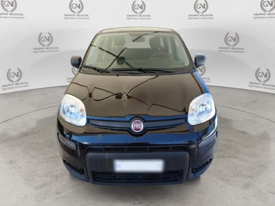 Fiat Panda Cross Cross 1.0 FireFly S&S Hybrid (3)