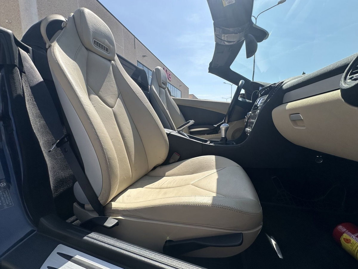 Mercedes-Benz SLK 200 Kompressor cat (10)