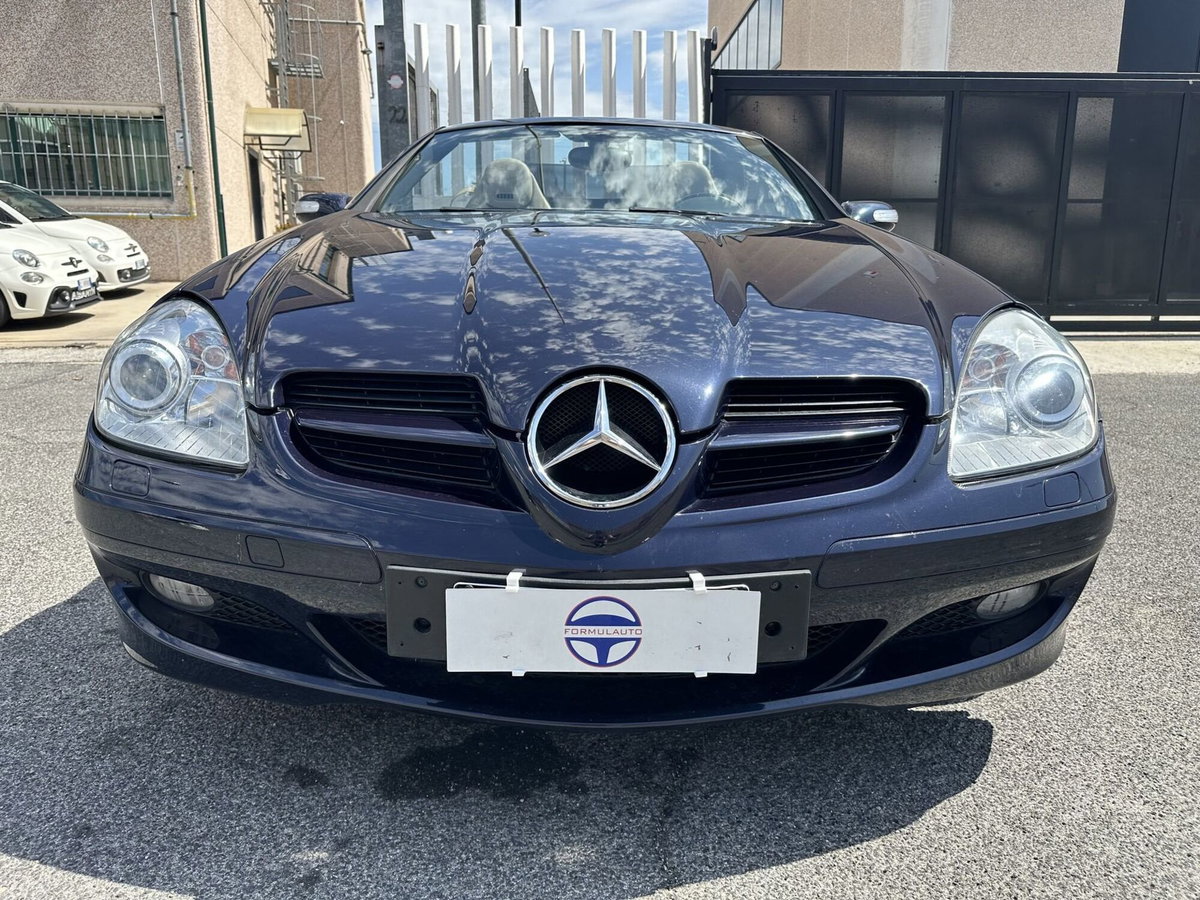 Mercedes-Benz SLK 200 Kompressor cat (2)