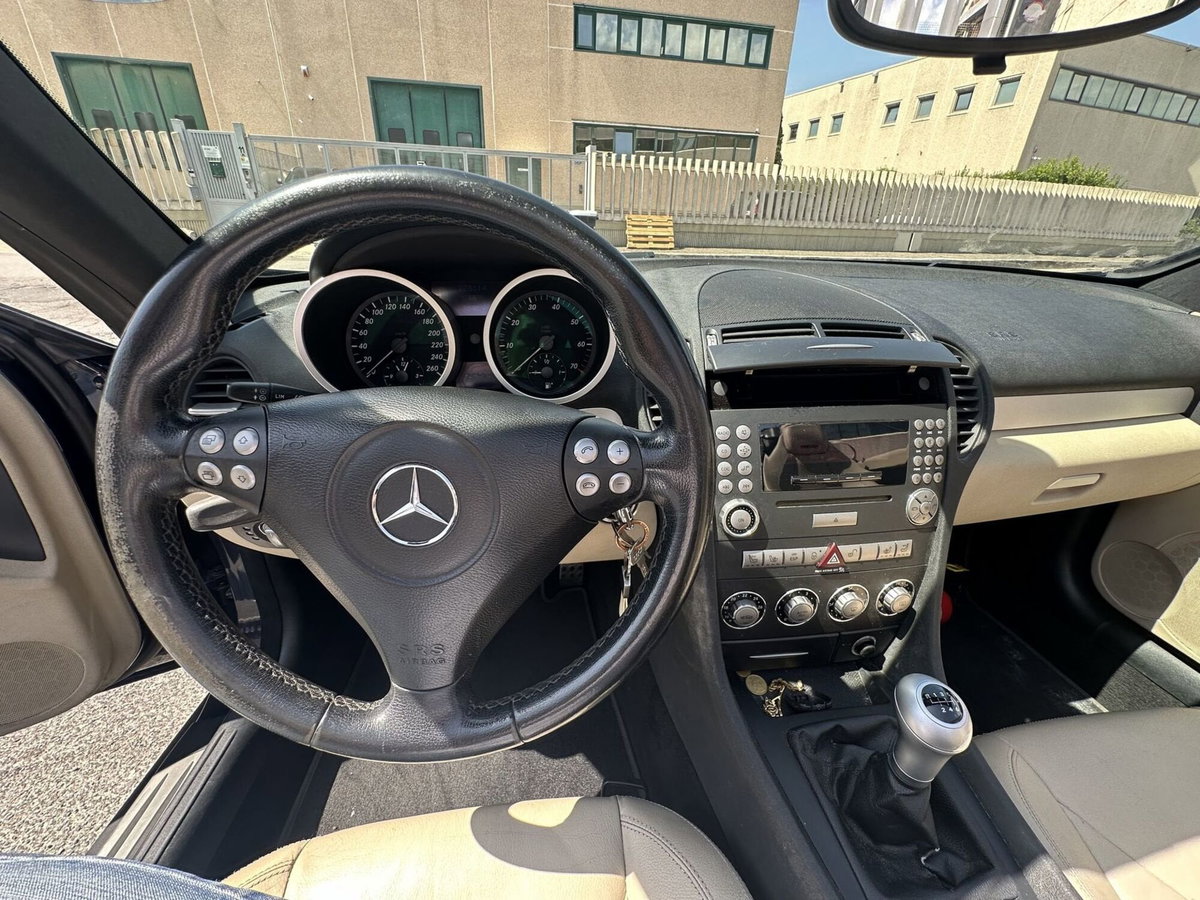 Mercedes-Benz SLK 200 Kompressor cat (7)