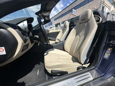 Mercedes-Benz SLK 200 Kompressor cat (9)