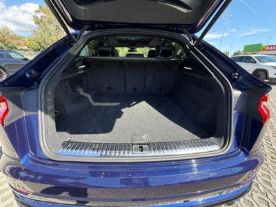 Audi SQ8 TDI quattro tiptronic (19)