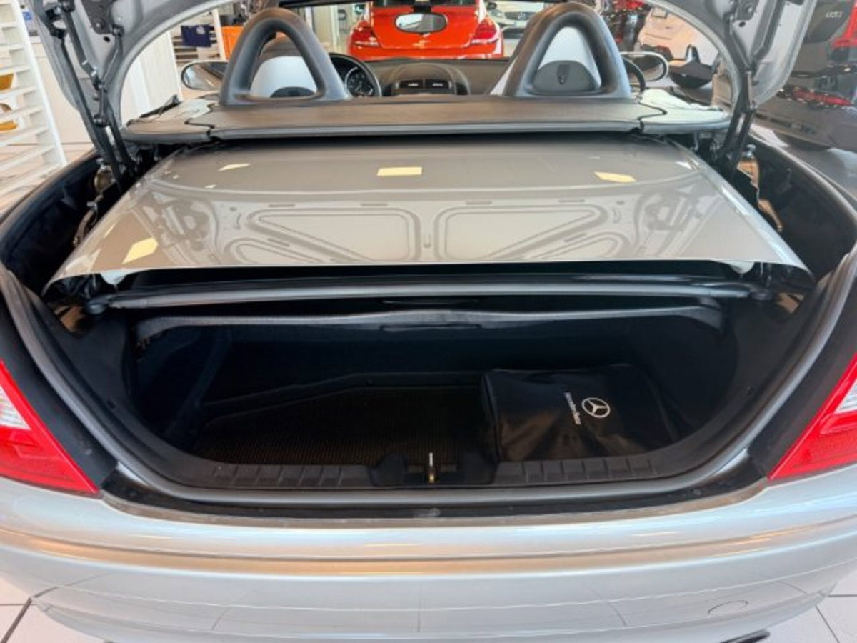 Mercedes-Benz SLK 200 Kompressor cat (10)