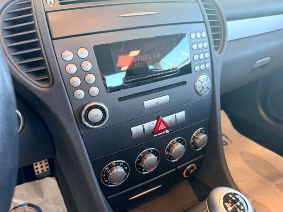 Mercedes-Benz SLK 200 Kompressor cat (12)