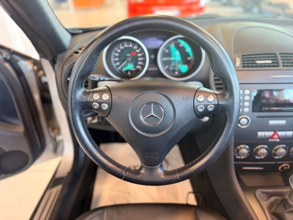 Mercedes-Benz SLK 200 Kompressor cat (14)