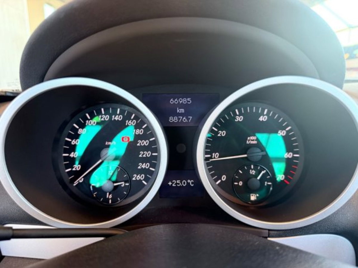 Mercedes-Benz SLK 200 Kompressor cat (17)