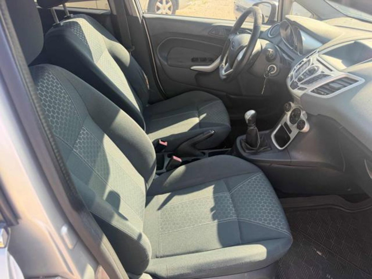 Ford Fiesta 1.4 5 porte Bz.- GPL Titanium (19)