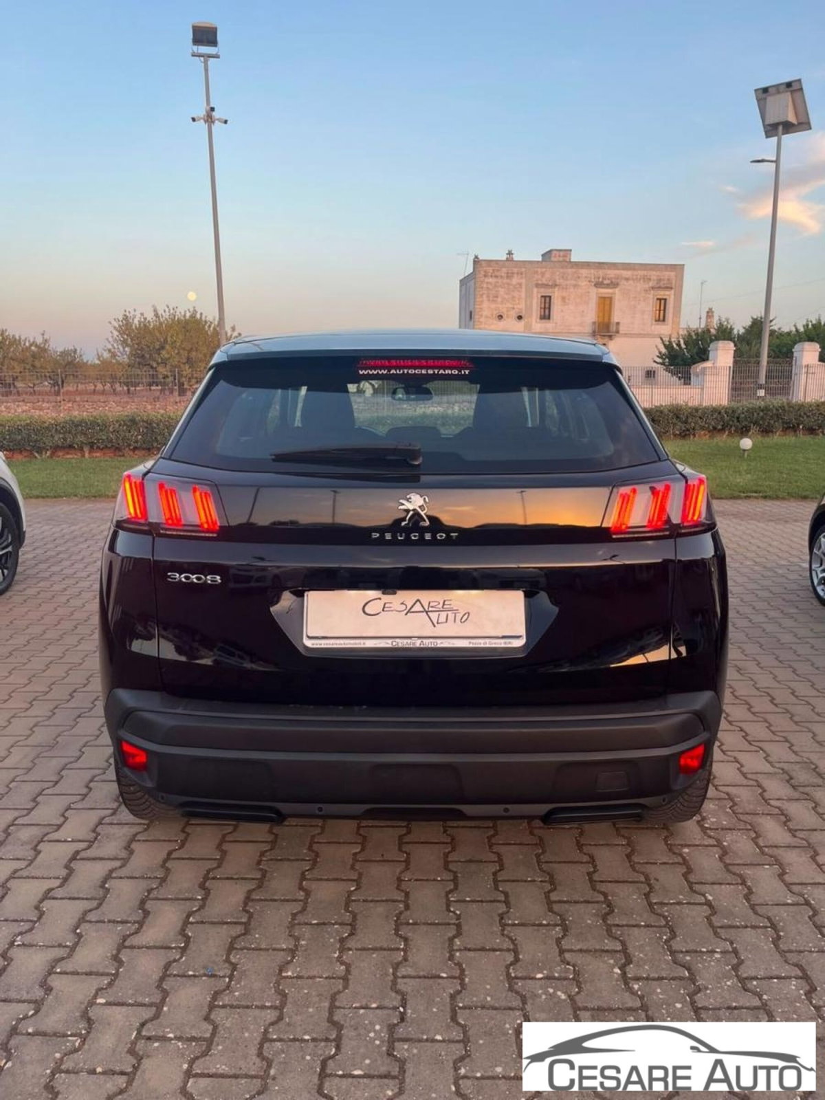 Peugeot 3008 BlueHDi 130 S&S Active (4)