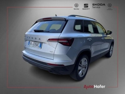 Skoda Karoq 2.0 tdi Selection 4x4 150cv dsg (3)