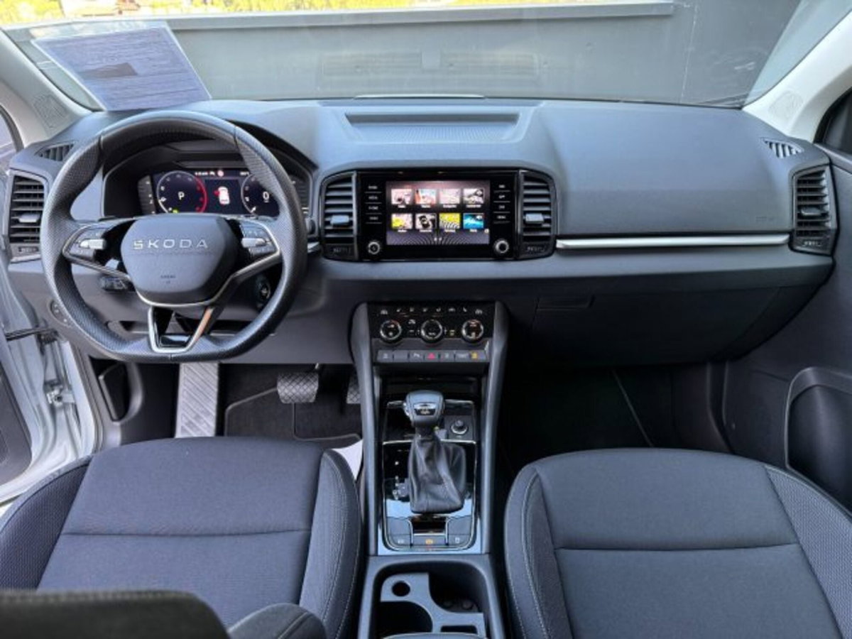 Skoda Karoq 2.0 tdi Selection 4x4 150cv dsg (6)