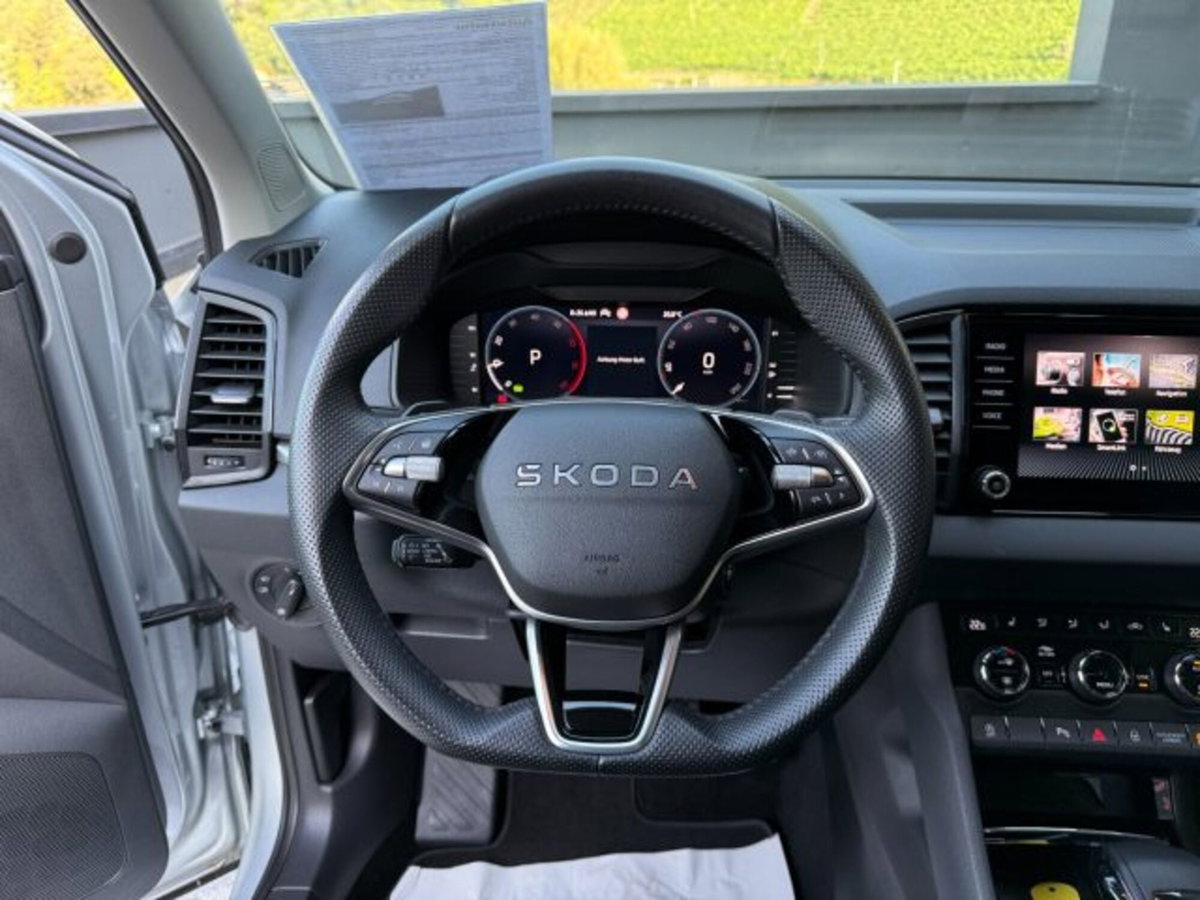 Skoda Karoq 2.0 tdi Selection 4x4 150cv dsg (7)