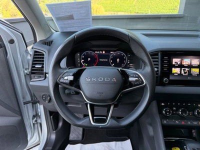 Skoda Karoq 2.0 tdi Selection 4x4 150cv dsg (7)
