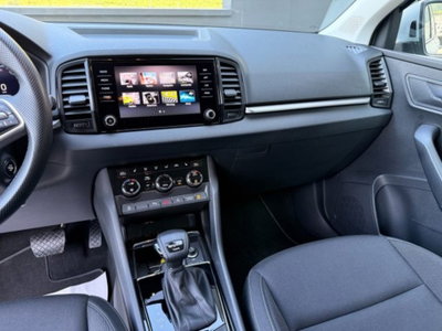 Skoda Karoq 2.0 tdi Selection 4x4 150cv dsg (8)