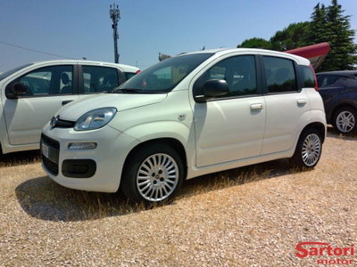 Fiat Panda Cross Cross 1.0 FireFly S&S Hybrid usata