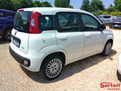 Fiat Panda Cross Cross 1.0 FireFly S&S Hybrid (2)
